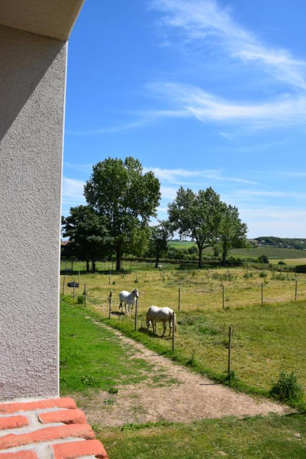 Le Clos De L'Angley Gites Et Ecurie Caffiers Экстерьер фото