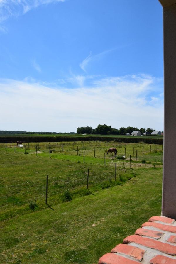 Le Clos De L'Angley Gites Et Ecurie Caffiers Экстерьер фото